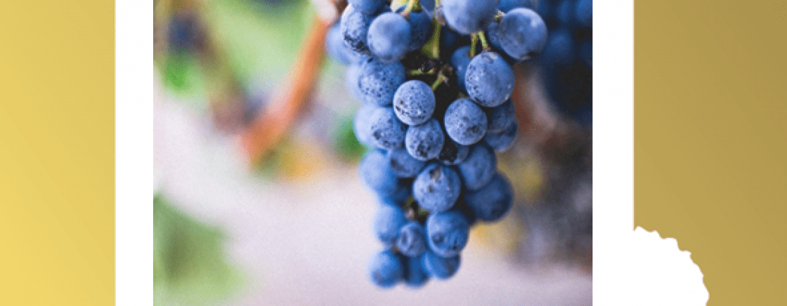 Fête des Vendanges de Montmartre 2018